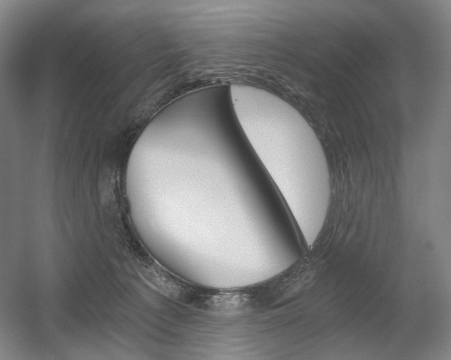 X0000056030225200508191000