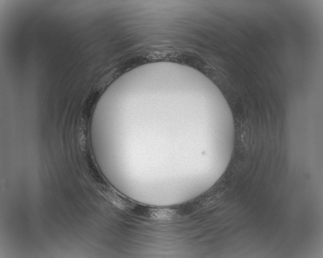 X0000056030226200508191000