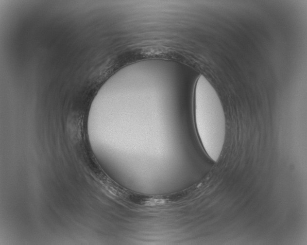 X0000056030227200508191000