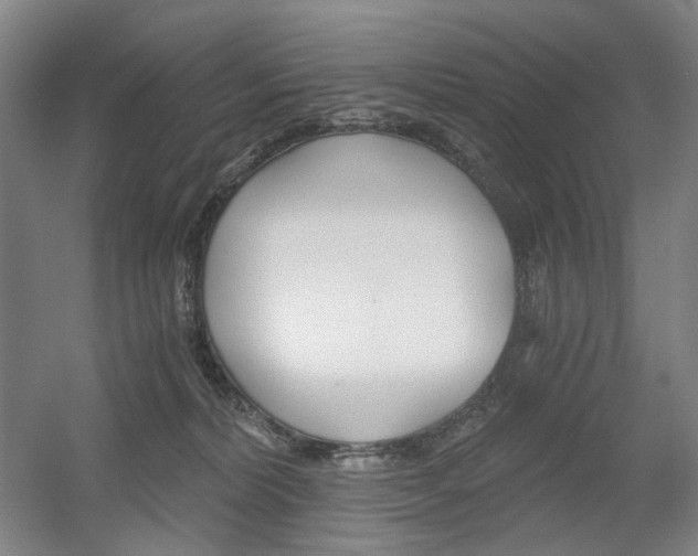 X0000056030228200508191000