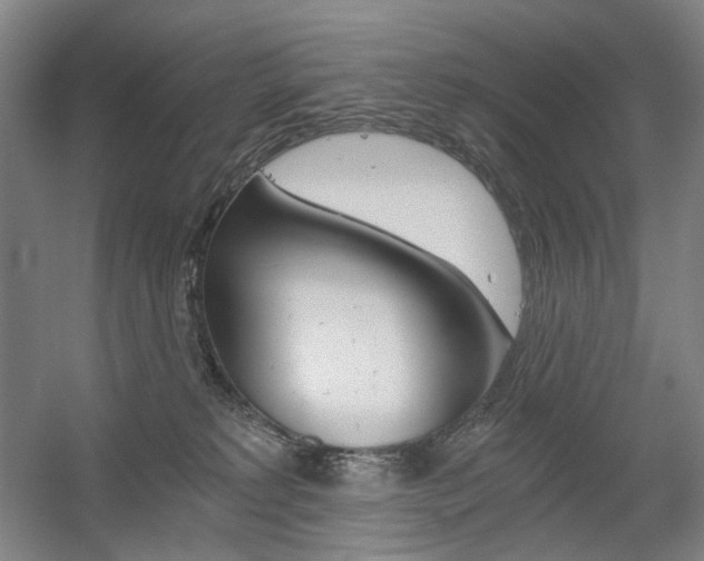 X0000056030229200508191000