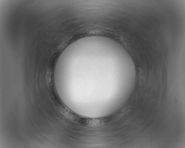 X0000056030230200508191000