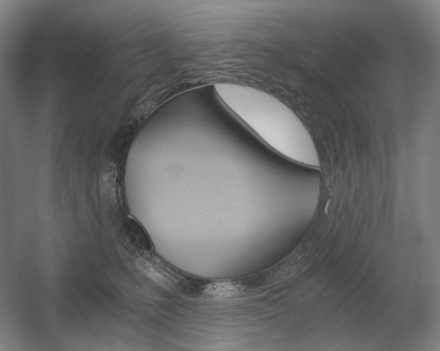 X0000056030231200508191000