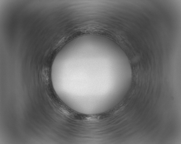 X0000056030232200508191000