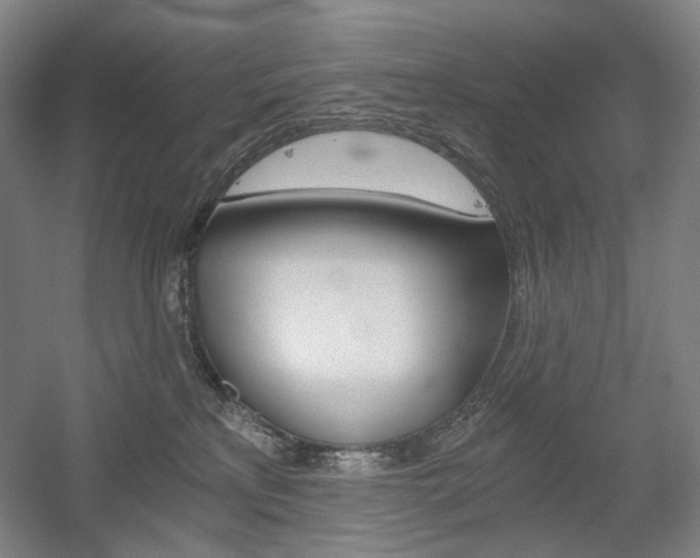 X0000056030233200508191000
