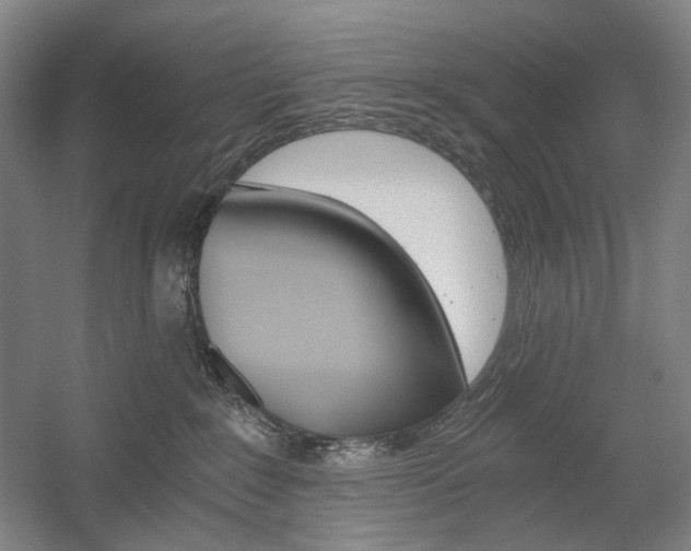 X0000056030235200508191000