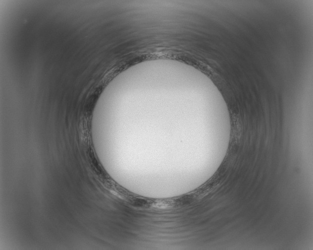 X0000056030236200508191000