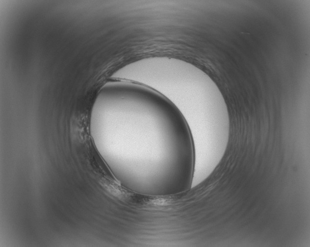X0000056030237200508191000