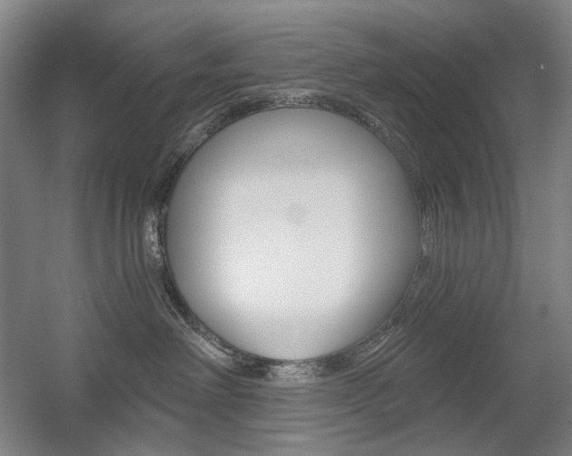 X0000056030238200508191000