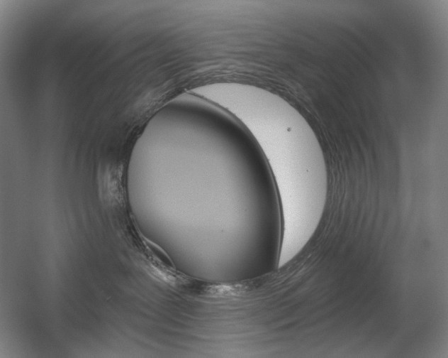 X0000056030239200508191000