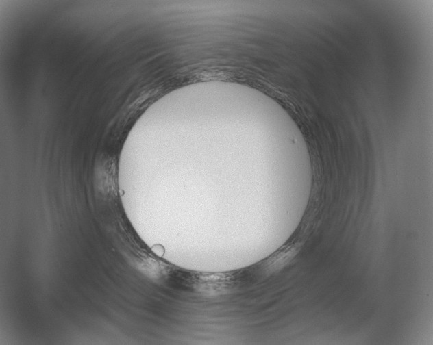 X0000056030240200508191000
