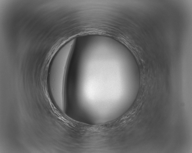 X0000056030241200508190959