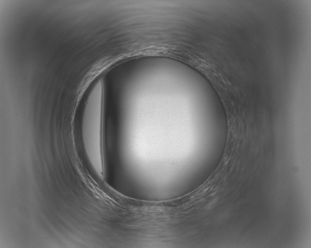 X0000056030242200508190959