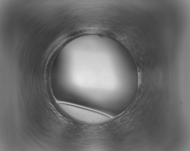 X0000056030243200508190959