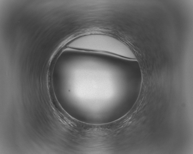 X0000056030244200508190959