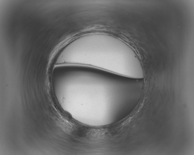 X0000056030245200508190959