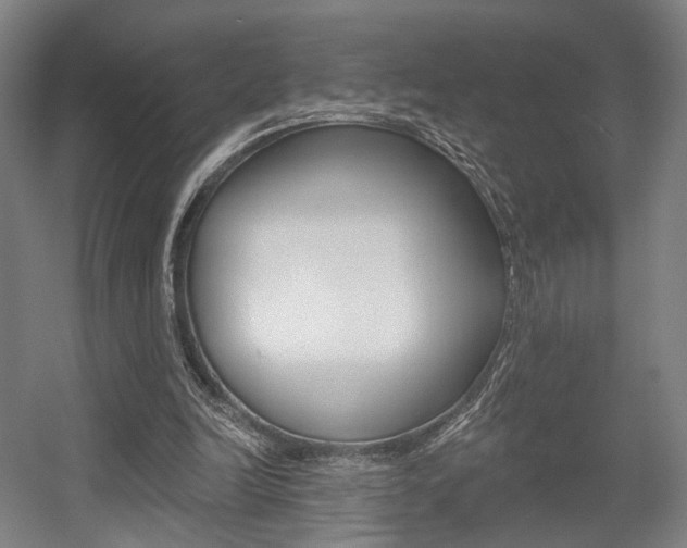 X0000056030246200508190959