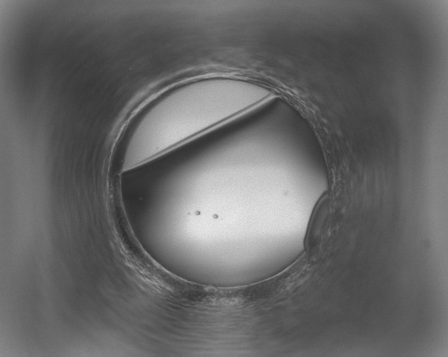 X0000056030247200508190959