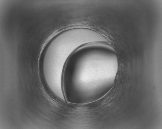 X0000056030248200508191000