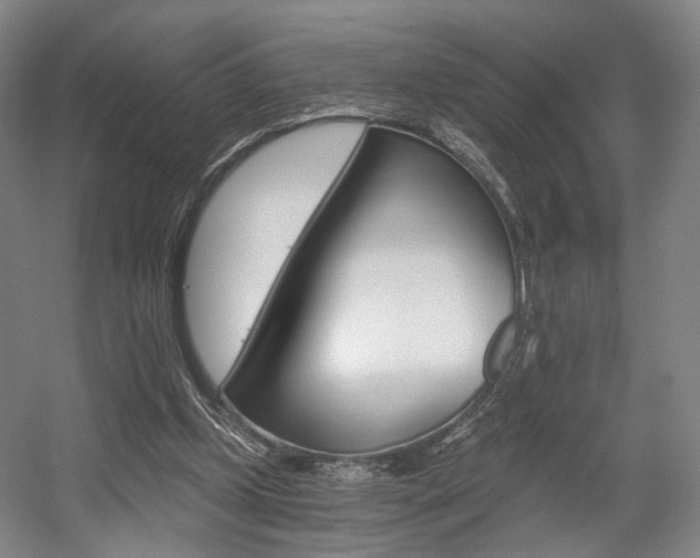 X0000056030249200508191000