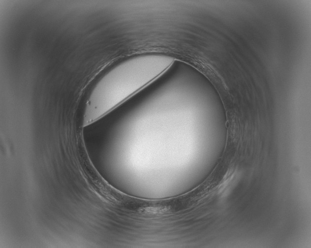 X0000056030251200508191000