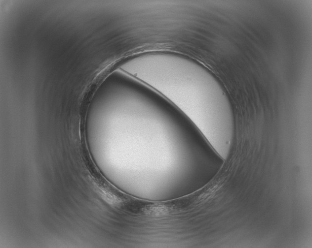 X0000056030253200508191000