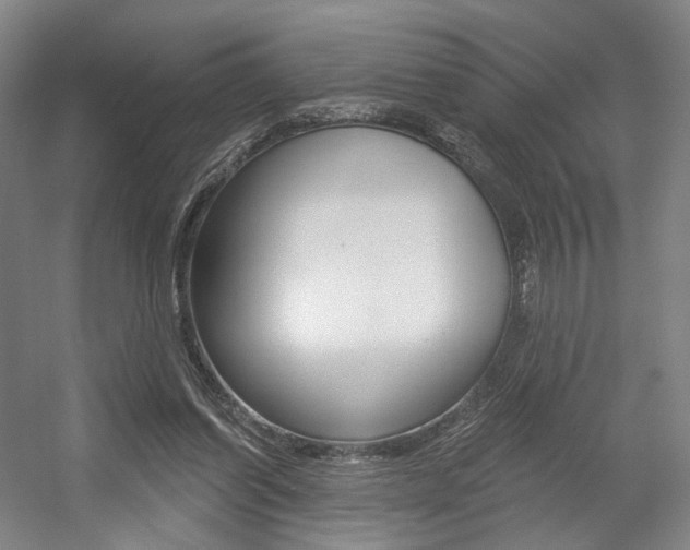 X0000056030254200508191000