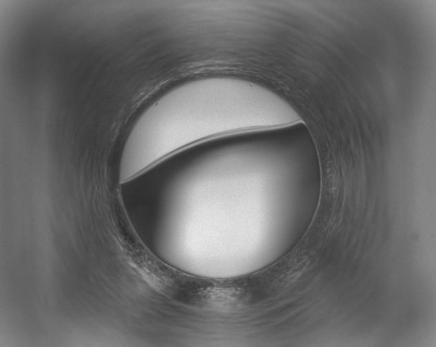 X0000056030255200508191000