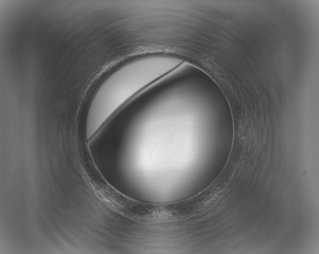 X0000056030256200508191000
