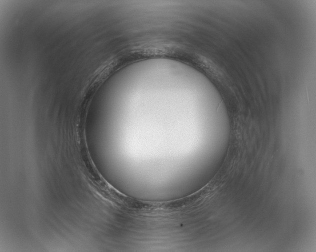 X0000056030258200508191000