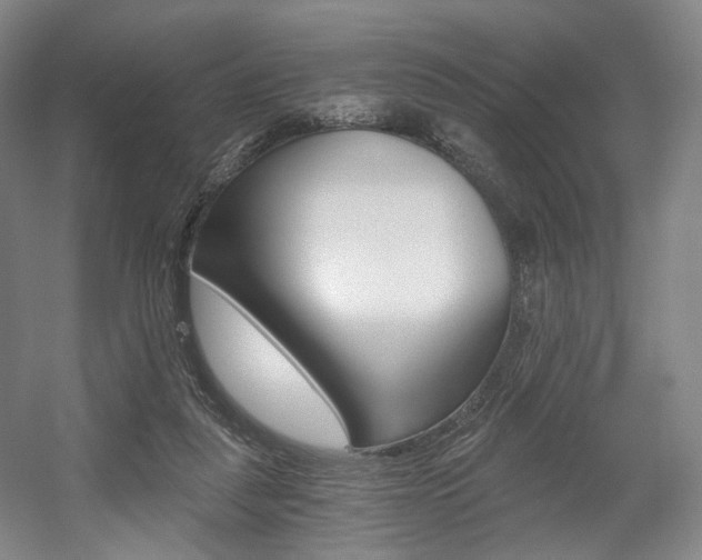 X0000056030259200508191000