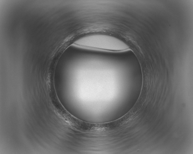 X0000056030260200508191000