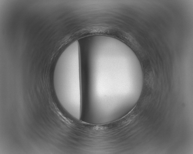 X0000056030261200508191000