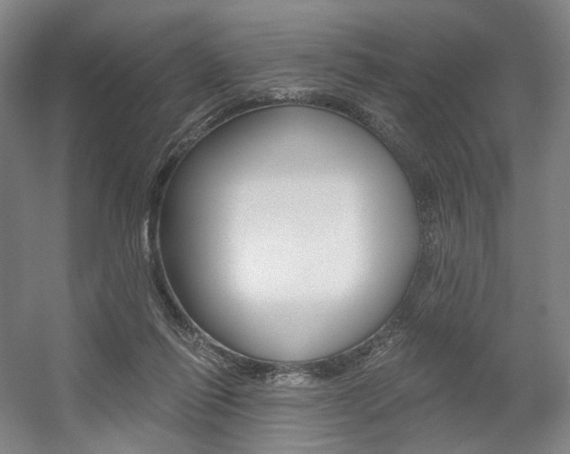 X0000056030262200508191000
