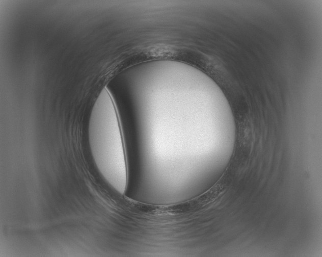 X0000056030263200508191000