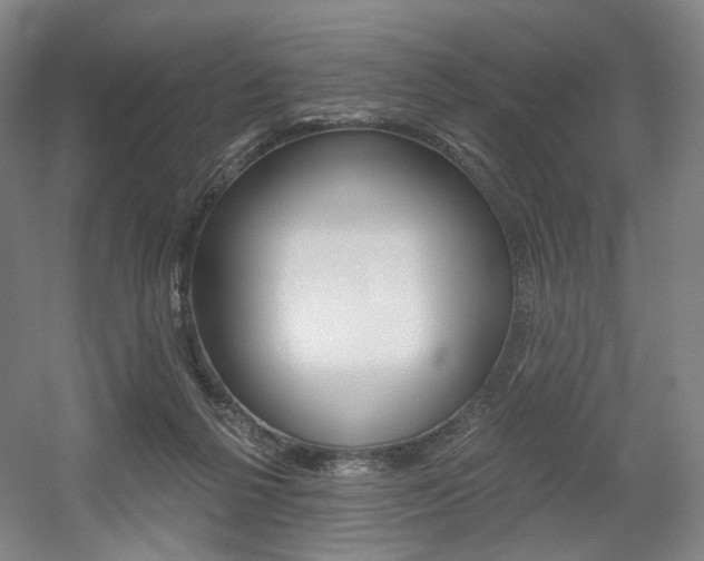 X0000056030264200508191000