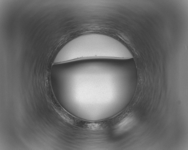 X0000056030265200508191000