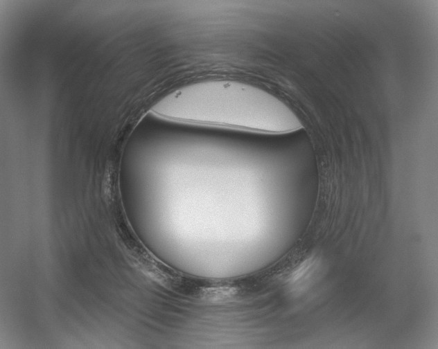X0000056030266200508191000