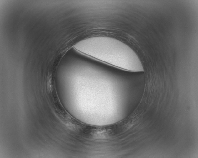 X0000056030267200508191000