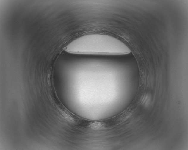 X0000056030269200508191000