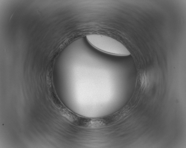 X0000056030270200508191000