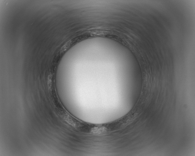 X0000056030271200508191000