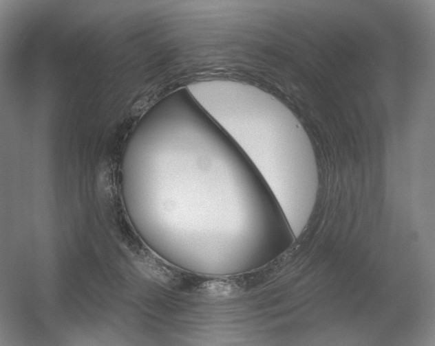 X0000056030272200508191000