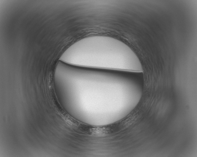 X0000056030273200508191000