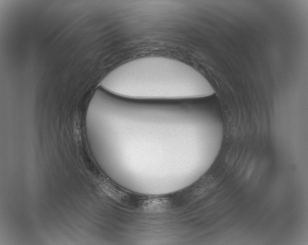 X0000056030274200508191000