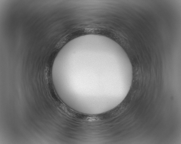 X0000056030275200508191000