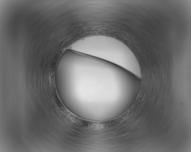 X0000056030276200508191000