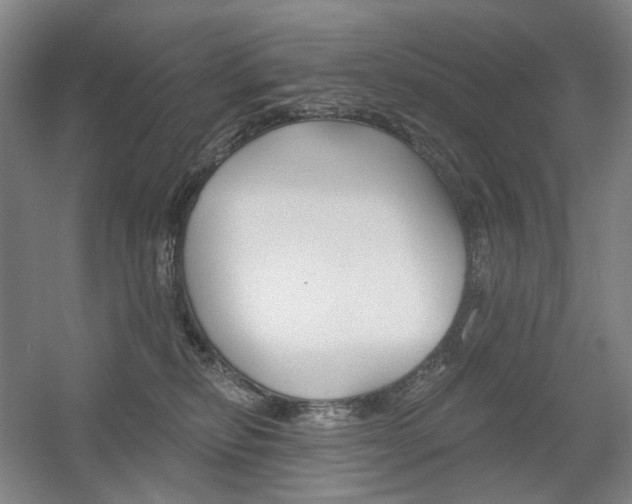 X0000056030278200508191000