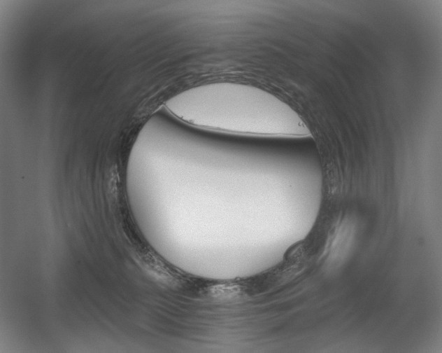 X0000056030279200508191000