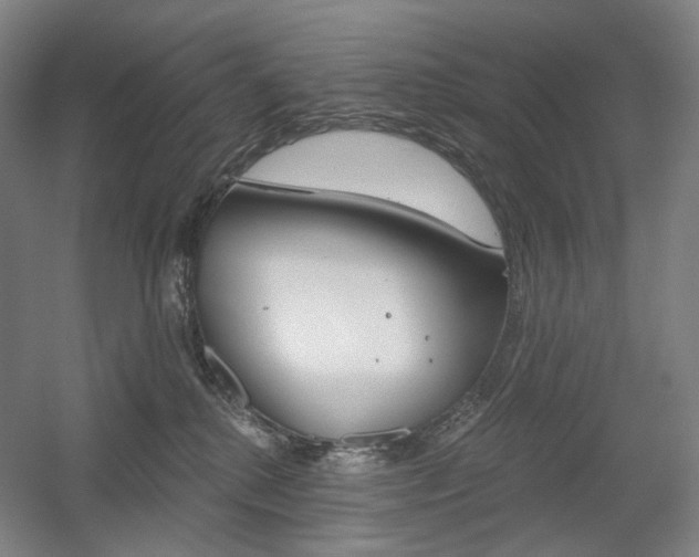 X0000056030280200508191000